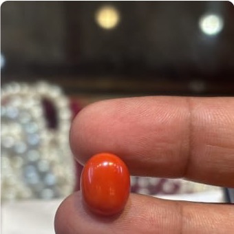 Natural Coral