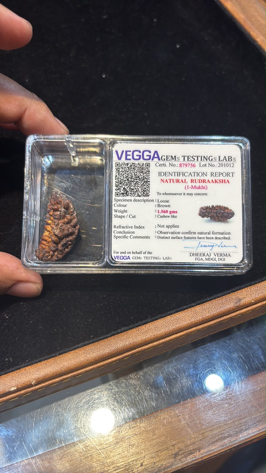 Natural Rudraksha • 1 Mukhi