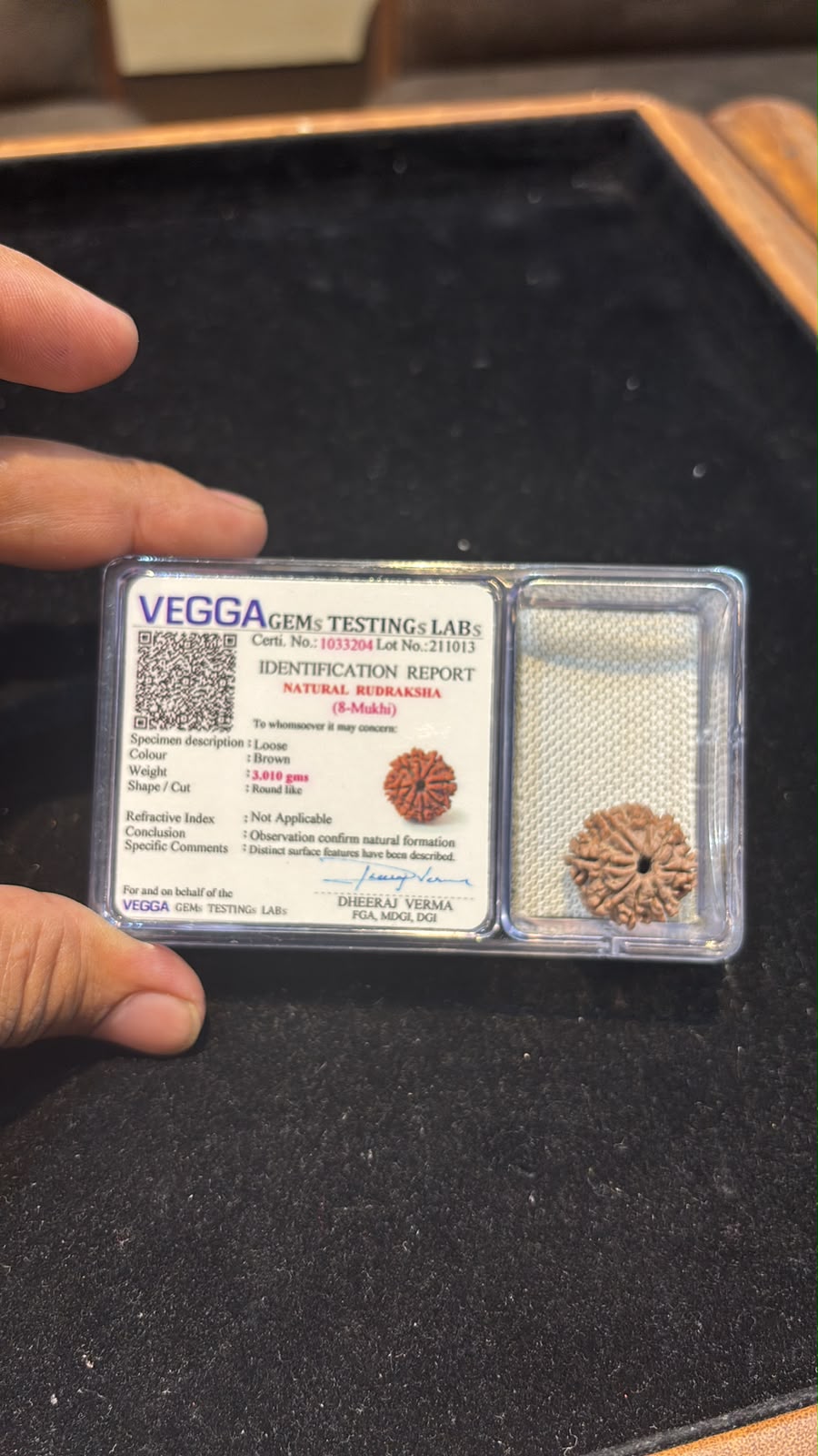 Natural Rudraksha • 8 Mukhi