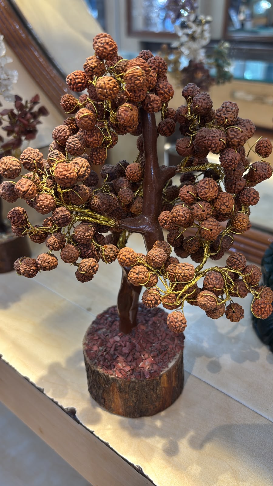 Rudraksha Tree