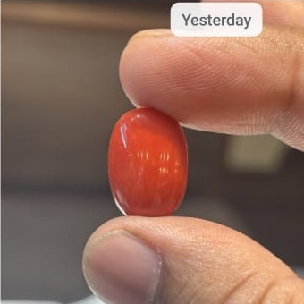 Coral Italian 12 45ct - Royal Gems