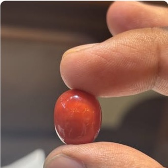 Coral Italian 16 50ct - Royal Gems