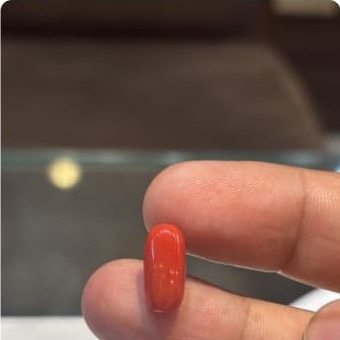 Coral Italian 5 05ct - Royal Gems