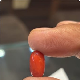 Coral Italian 6 35ct - Royal Gems