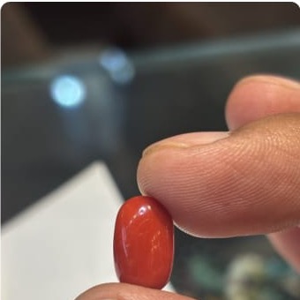 Coral Italian 6 55ct - Royal Gems