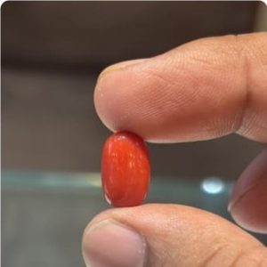 Natural Italian Coral — 6 ct
