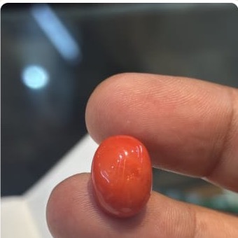 Coral Italian 8 33ct - Royal Gems