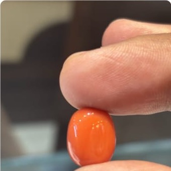 Coral Italian 9 70ct - Royal Gems