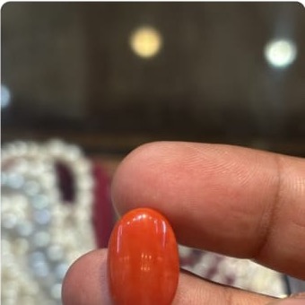 Coral Japanese 7 50ct - Royal Gems