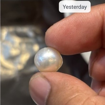 Pearl South Sea 11 63ct - Royal Gems