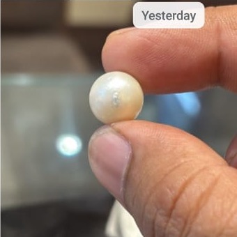 Pearl South Sea 12 25ct - Royal Gems
