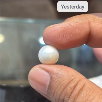 Pearl South Sea 9 20ct - Royal Gems